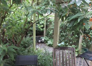 Garden (Summer photo)- click for photo gallery